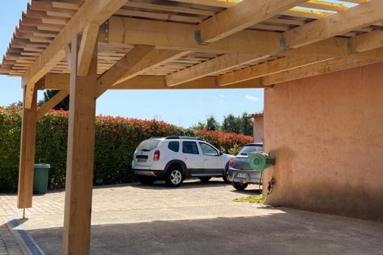 Abri de voiture en bois 